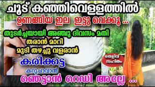 ചൂട് കഞ്ഞിവെള്ളത്തിൽ ഈ ഇല ഇട്ടു വെച്ചാൽ ഞെട്ടും /rice water hair care /poppy vlogs/malayalam