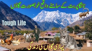 Beautiful Village on the Top of Himalayan Mountain | Village Life in Gilgit Baltistan