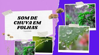 Som  de chuva em folhas