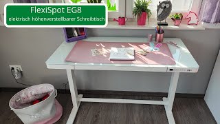 Perfekt für dein Home Office? Schreibtisch EG8 von FlexiSpot - ergonomisch, modern, schick - Test!