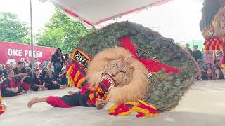 SOLAH DADAK MERAK REOG PONOROGO TIMBUL MANGGOLO TONANTAN #dadakmerak #pembarong #reogponorogo