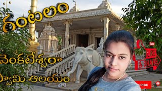 || గంటలం లో శ్రీ వెంకటేశ్వరా స్వామి వారి ఆలయం || venkateshwara swamy Temple at Gantlam ||