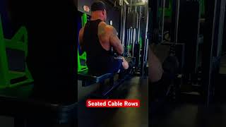 Seated Cable Rows #laineywilson  #backworkout #fitness #motivation