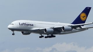 ✈Lufthansa Airbus A380-800 - Arrival at Frankfurt Airport