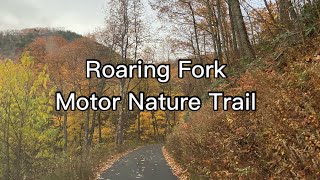 Roaring Fork Motor Nature Trail, Great Smoky Mountains, Gatlinburg, TN