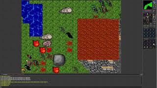 Tibia 7.4 (Galana. 39 Knight lures Orc Berserkers and Dragons to Venore Amazon Camp)