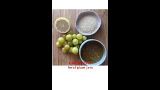 Feral plums- how to harvest and cook