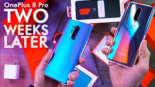 OnePlus 8 vs OnePlus 8 Pro Review: 2 Weeks Later... 🧐