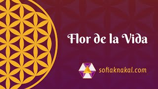 Flor de la Vida con Julián