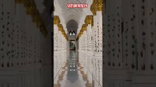 তাজমহল #amazing #shorts #shortvideo #tajmahal