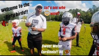 Sweet Water Cardinals Vs. FLA Vikings 8u