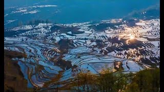 神奇雲南哈尼梯田，每個攝影師都應該來一次的地方|Magical Hani Terraces, where every photographer should come!