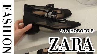 Что нового сегодня в ZARA