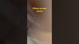 Обзор на мои лапки