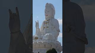 The most popular beautiful big Guanyin statue in #chiangrai #thailand #travel #shots