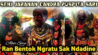 Ran Bentok Ngratu Sak Ndadine di Jaranan Candra Puspita Sari live Persen Tegaldlimo