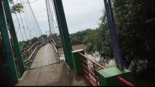 Under the suspension bridge, where prawn nests are poles and snapper