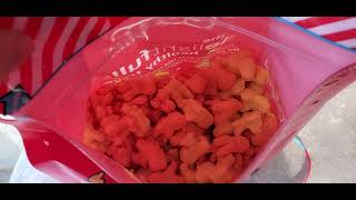 Pup Corn Plus Chicken & Cheddar Cheese Dog Review | Pet Popcorn Style Treat for Dogs | Pet Foods