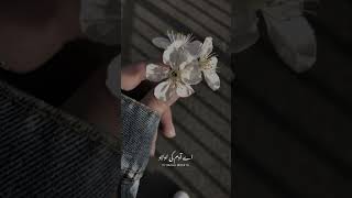 Allah kehta hai 💗🔥💯| heart touching line |Tariq Jameel  | maha wri8ts