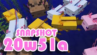 1.17 Snapshot 20w51a | Axolotls Are Here! | Minecraft News