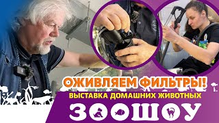 Аквариумные новости с Владимиром Ковалёвым (11.12.2024). [СПЕЦВЫПУСК] Оживляем фильтры!