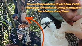 Wow Begini proses Pengambilan Minuman Tradisional Orang Manggarai (Arak/Tuak Bakok)  Dari Pohon Enau