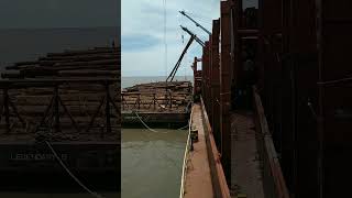 Loading wood on cargo ship #sea #bluesea #ship#sailor#marchant #mariner #PNG#tree #wood #timber