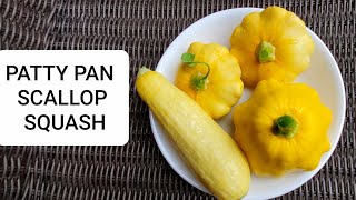 Best way to cook Patty pan squash - Garden to Table