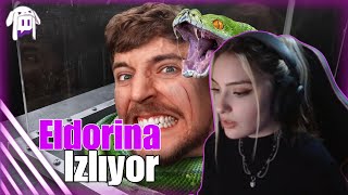 Eldorina İzliyor | 800.000 $ Kazanmak İçin En Büyük Korkunuzla Yüzleşin @MrBeast