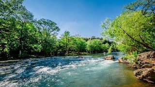 Beautiful River with relaxing music and sound | Earth's Splendor