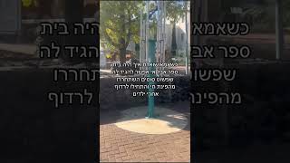 יש סוסים בבית ספר