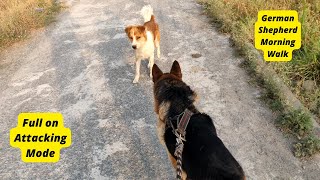 Morning walk with my german shepherd | GSD | German Shepherd | Dog | #gsd #germanshepherd