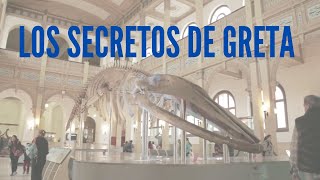 Los secretos de Greta 🐳