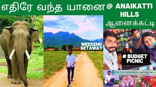 எதிரே வந்த யானை @ ஆனைக்கட்டி | ANAIKATTI  vlog | ELEPHANT  ENCOUNTER | coimbatore