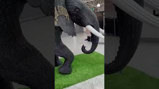 Réplica tamanho real de um elefante no aeroporto de Luanda na Angola.