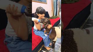 Munna bda pyara #shortsviral #viralvideos #youtubeshorts #shorts #animals #viral