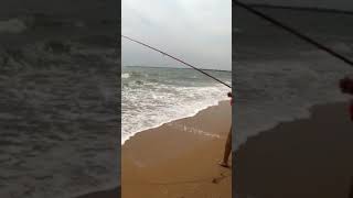 Dorada en Huelva