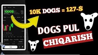 Dogsdan 100000$ olish community shartlari