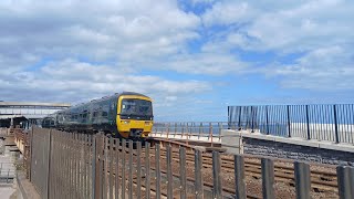 Serious Spotting: Dawlish (28/6/2024)