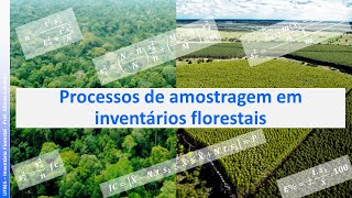 Vídeo 1   Processos de amostragem