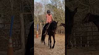 Can you do it! #horse #horsebackriding #horses #horseriding