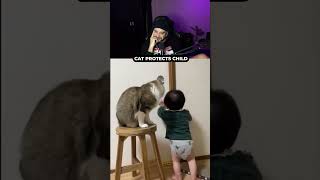 Cat protects kid from opening door #pablo #pablovintura #trending #viral