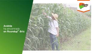 Tu aliado contra las malezas | Agro Bayer Colombia​