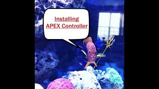 Red Sea Peninsula 650 Update - Installing Apex Controller