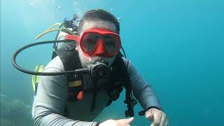 Diving at Raja Ampat Papua - Freddy Situmorang