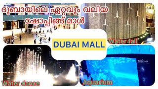 DUBAI MALL// ദുബായിലെ ഏറ്റവും വലിയ ഷോപ്പിങ്ങ് മാൾ// ദുബായ് മാൾ//Biggest  Mall in Dubai//Amrush vlogs