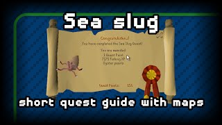 07RS - Sea slug - Short quest guide with maps!