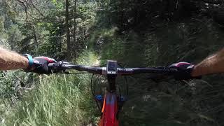 Valais, Wallis Mtb Enduro flowy trails