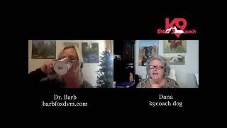 Discussing Dog Wellness With Dr. Barb Fox