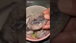 Cumi Balakutak Hitam #cumitumis #cumi #viral #fyp #food #kuliner